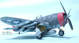 P-47 D-25